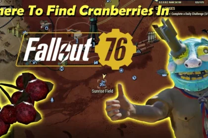 FO76 Cranberries