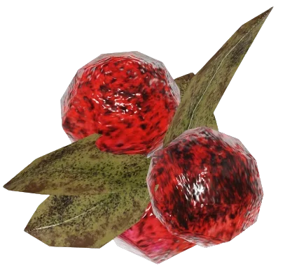 FO76 Cranberries