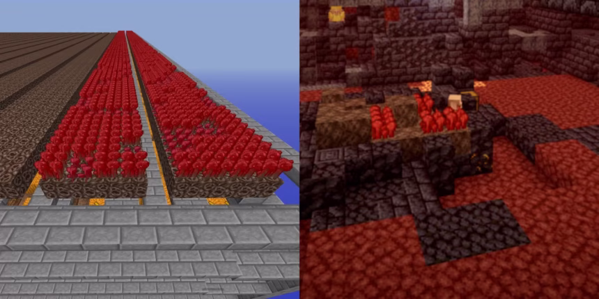how to grow nether wart in minecraft