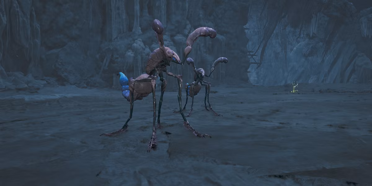 comaqchi monster hunter wilds