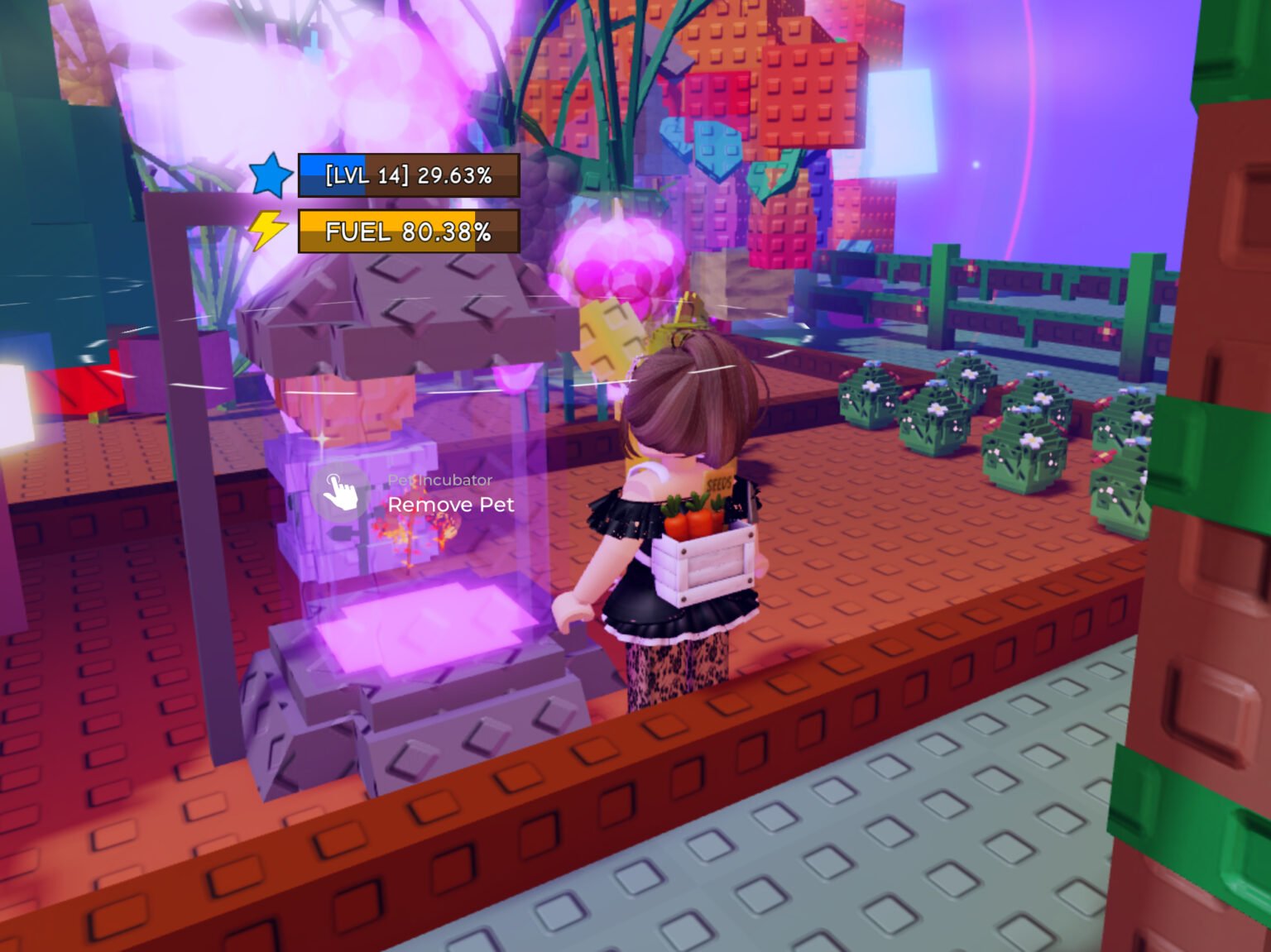 grow a garden pet incubator